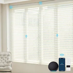 ZSTARR Motorized Shangri-La Shades Light Filtering Shangri-La Window Roller Shades Compatible with Alexa Google Remote Control Rechargeable Smart Shangri-La Sheer Blinds Customized Size (Ivory)