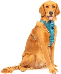 Kurgo Enhanced Strength Tru-Fit Dog Car Harness - Pet Travel Safety Harness - Crash Test Certified Fit - Five Point Adjustment - Secure Buckle - Padded Chest - Ink Blue - Large