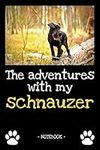 The adventures with my schnauzer: d