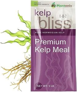 Kelp Bliss