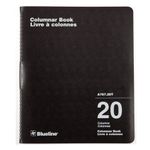 Blueline Columnar Book, Twin-Wire Binding, 20 Columns with Description, 80 Pages, 12-Inch x 10-Inch, Black (A767.20T)