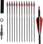 e5e10 31inch Carbon Arrow Archery T