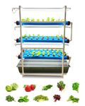 Pindfresh Hydroponics Kit for Home or Office - The Tashi Home Indoor NFT Hydroponic System with Grow Lights for Growing 81 Leafy Greens - All Inclusive kit (Premium Model, Large Reservoir)