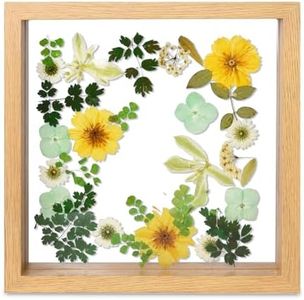 fanhuashijn Clear Pressed Flower Frame - Dried Flower Frame Adult Girls Night Crafts for Women Mother Gift (Green, Medium)