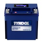 TYKOOL YTX14-BS/YTX14H Lithium LiFePO4 Motorcycle Battery,12V 8Ah,480CCA,Built in BMS,Powersports Battery,for ATV,UTV,Jet Ski,Snowmobile,Quad,Riding Lawn Mower,Tractor,Polaris Battery