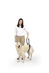 Solvit Harness For Dogs