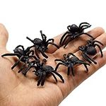 Muzboo Realistic Plastic Spider Toy