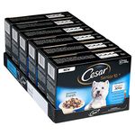 Cesar Deliciously Fresh - Wet Dog Food for Senior Dogs 10+ Mixed Selection in Jelly, 48 Pouches (6 x 8 x 100 g)