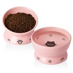 SWEEJAR Tilted Raised Cat Food and Water Bowl Set, Stress Free Elevated Cat Food Bowls, Protect Cat's Spine, Ceramic Pet Bowl Collection for Cats and Small Dogs, Set of 2 (Pink)