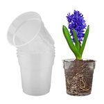 5 Pcs Transparent Plastic Plant Pots Hard Clear Flower Pots Transparent Plastic Pot for Orchids with Drainage Holes for Orchids, Succulents, Houseplants Ideal for Indoor Outdoor Balcony Office Desk