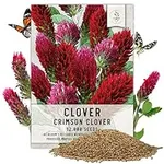 Seed Needs, Crimson Clover Wildflow