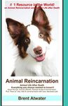 Animal Reincarnation: Everything Yo