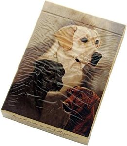 Labrador R