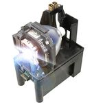 Araca ET-LAF100 /ET-LAF100A Projector Lamp with Housing for Panasonic PT-FW300 FW300U FW100NT FW430U FW430 FX400 PX860 F300 FX400U F300U FW100NTU F100NT F100U F200 Replacement Projector Lamp