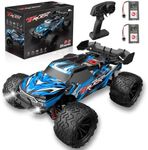 BORSTOYPRO 1:16 Fast RC Car, 40KM/H
