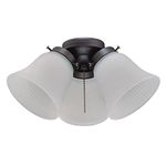 Universal Ceiling Fan Light Kit