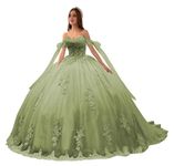 LuxeEspy Puffy Quinceanera Dresses with Sleeves Sage Off Shoulder Ball Gown vestido de 15 años Crinolinas Dresses for Quinceanera Luxury Sweet 16 Dresses Size 4