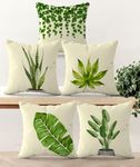 Pillow Covers Of Tropicals