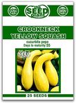 Crookneck Yellow Squash Seeds - 25 Non-GMO Seeds