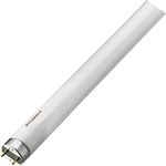 Sylvania 16w T8 fluorescent tube (720mm exc pins, CHECK LENGTH CAREFULLY)