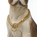 RvPaws Dog Collar Chain, Brass Golden Chrome Plated Dog Collar for Medium Size Dogs Golden Choke Chain