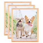 A5 Photo Frame,3 Pack-15x21cm OAK Picture Frame Plexi-Glass,Certificate Frame for Wall Mount or Table Top Display,Set of 3