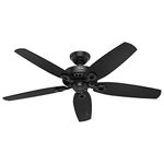 Hunter 53294 52" Builder Elite Damp Ceiling Fan, Matte Black