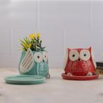 Lyallpur Stores Owl Design Green Ceramic Pot with Tray for Home, Indoor Décor & Gifting (Size: Small (4 Inch Wide) Pack of 4 (Plant not Included)