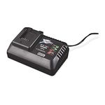 Activ Energy Universal Battery Charger for FERREX Battery Tools Garden Tools