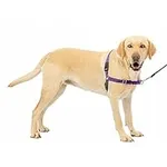 PetSafe Easy Walk Harness, Large, D