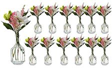 Casavetro 12 x Small Vase Glass Bottles Halsi Glass Bottles Country House Vintage Vase Bottle Glass Clear Mini Decorative Bottles Vases (12 x)