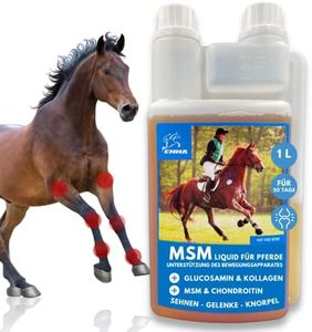 MSM para Caballos 1L Sistema Musculoesquelético Caballo Líquido en Vez de MSM Polvo I Articulaciones Tendones Ligamentos MSM con Glucosamina Condroitina Complejo Colágeno Altamente Dosificado Senior