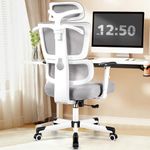 Primy Office Chair Ergonomic Desk Chair, High Back Computer Gaming Chair, Comfy Big and Tall Home Office Chair with Lumbar Support, Breathable Mesh Reclining Chair Adjustable Armrests Headrest(Gray)