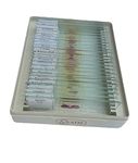 AIM Histology Slides -Set of 25