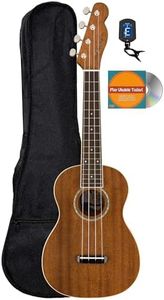 Fender Zum