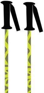 K2 Boys Sprout Ski Poles (Green, One Size)