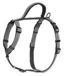 Lightweight Dog Harness