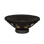 Goldwood Sound Dual Voice Coil 10" Replacement Speaker Woofer Black (GW-410D)