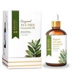 Indo Bio Organics 100 ml Tea Tree Essential Oil, 100% Pure & Natural Tea Tree Oil For Skin, Hair, & Home Fragrance, Organic Aromatherapy Oil For Diffuser, Massage, Bath, Essential Oil (3.38 fl. Oz)