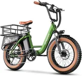 EUY Cargo Ebike with Rear Basket, Green Electric Bike