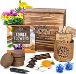 Edible Flowers Indoor Garden Seed S