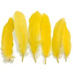 Goose Feathers - 12 Per Pack - 19cm / 7" - 8" - Large - Yellow