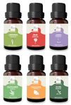 AIR-ROMA Aroma Diffuser Oil (Lemon Grass, Lavender, Eucalyptus, Orange, Rose and Tea Tree), 60ml, Multicolour - Combo of 6