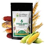 Grain Seeds - 6 Varieties - Corn, Ornamental Corn, Amaranth, Quinoa, Wheat, Oats - Backyard Garden Canadian Seeds