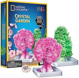 National Geographic Crystal Garden Growing Kit for Kids - Educational Science Kits for Kids Age 8+ Grow Genuine Rose Quartz Crystal Covered Trees | STEM Gifts for 8+ Year Old Boys and Girls