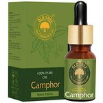 Old Tree Pure Camphor Essential Oil (15ml) - for Home Fragrance, Skin, Cooling Effect - Undiluted and Natural Kapoor Oil with Dropper for Aromatherapy & Soothe Burns