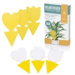 Rovar Yellow Sticker Fly Trap - Effective Control of Fungus Gnats on Indoor Plants - Extra Large Catching Area (030 Pieces)