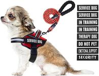 Animire Service Dog Vest Harness and Leash Set, in Training Dog Harness with 8 Dog Patches, Reflective Dog Leash with Soft Padded Handle for Small, Medium, Large, and Extra-Large Dogs (RED,XS)