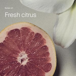 Living Proof Perfect Hair Day Dry Shampoo – Refresh & Cleanse