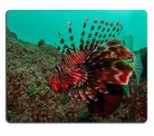 Mouse Pad Gaming Mouse pad Natural Rubber mouse mat Lionfish Set of Natural Rubber Material M0A09596